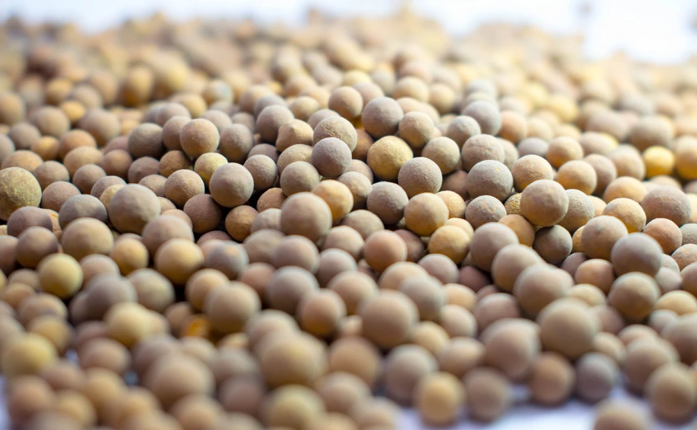 DEV SRC-09 (Iron-on-Alumina Protection Catalyst)